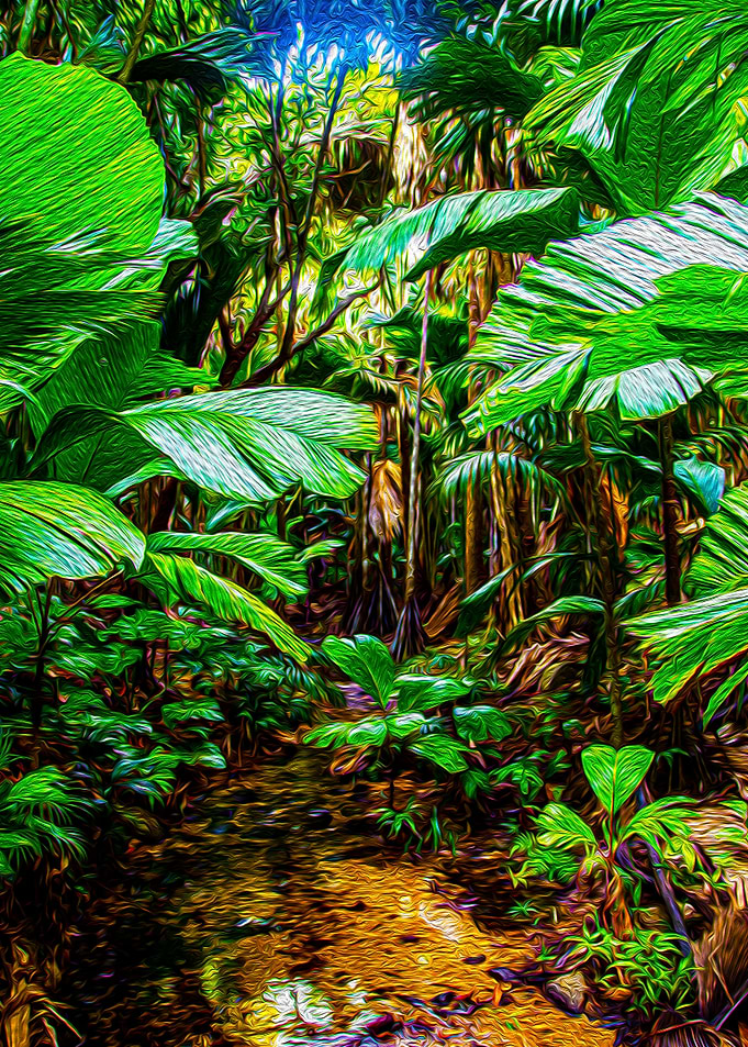 Pond and Jungle