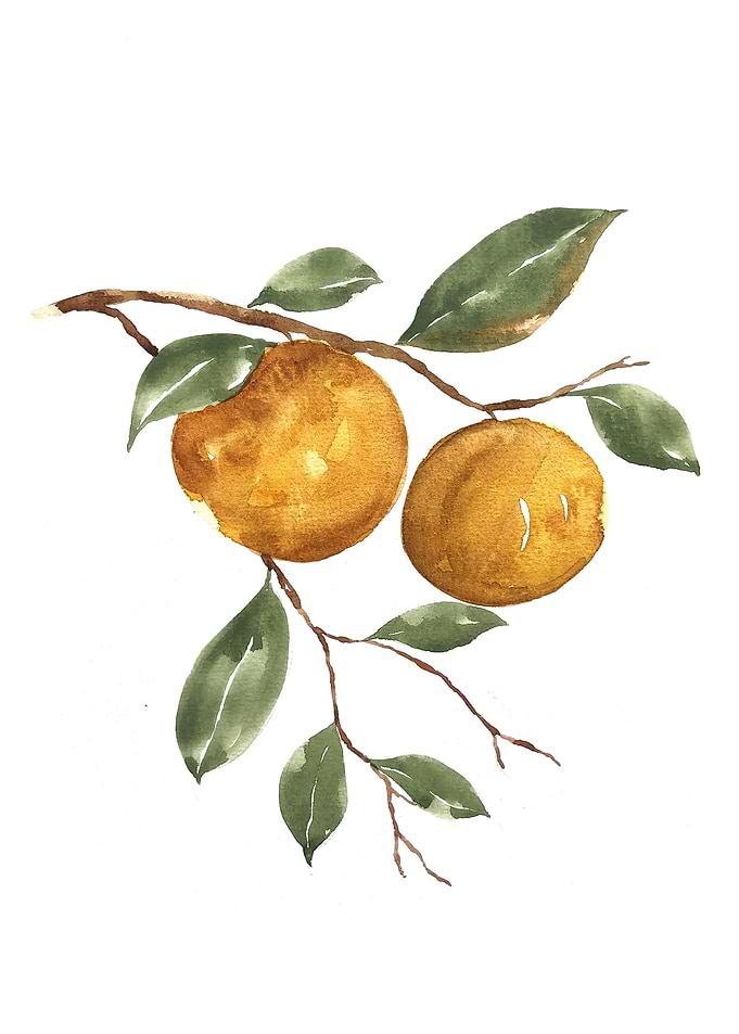 Fruit