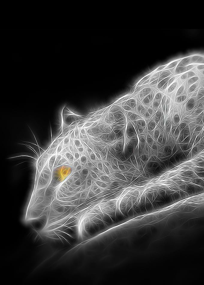 cheetah fractal white grey