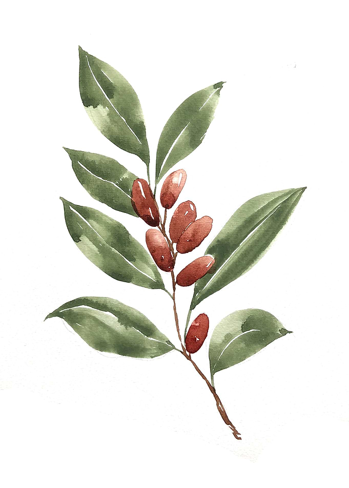 Fruit