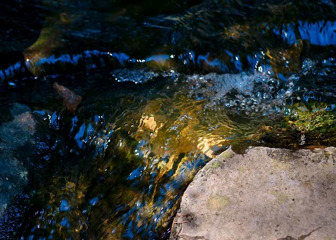 Clean Water Forest Brook