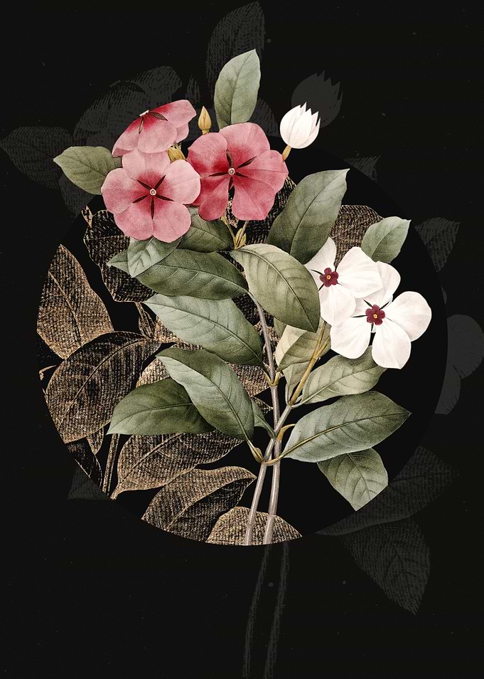 Vintage Periwinkle Flower