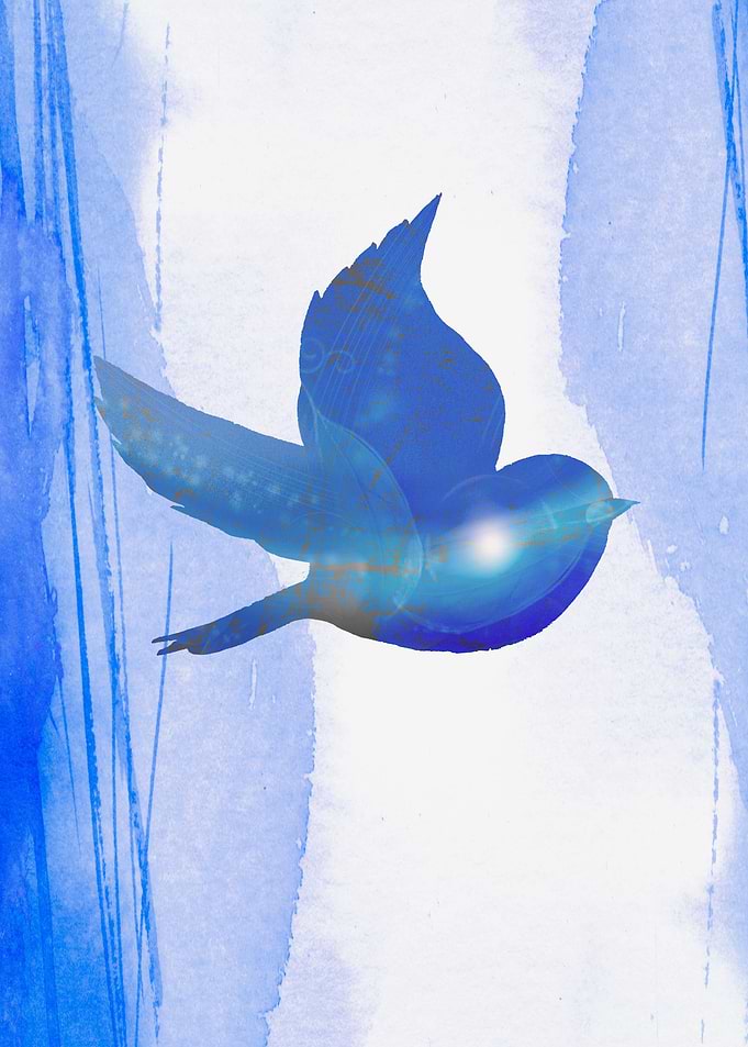 Blue Bird