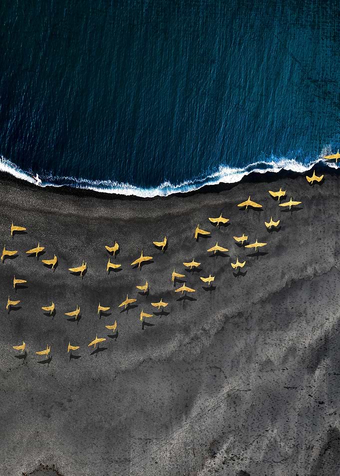 FLOCK IT