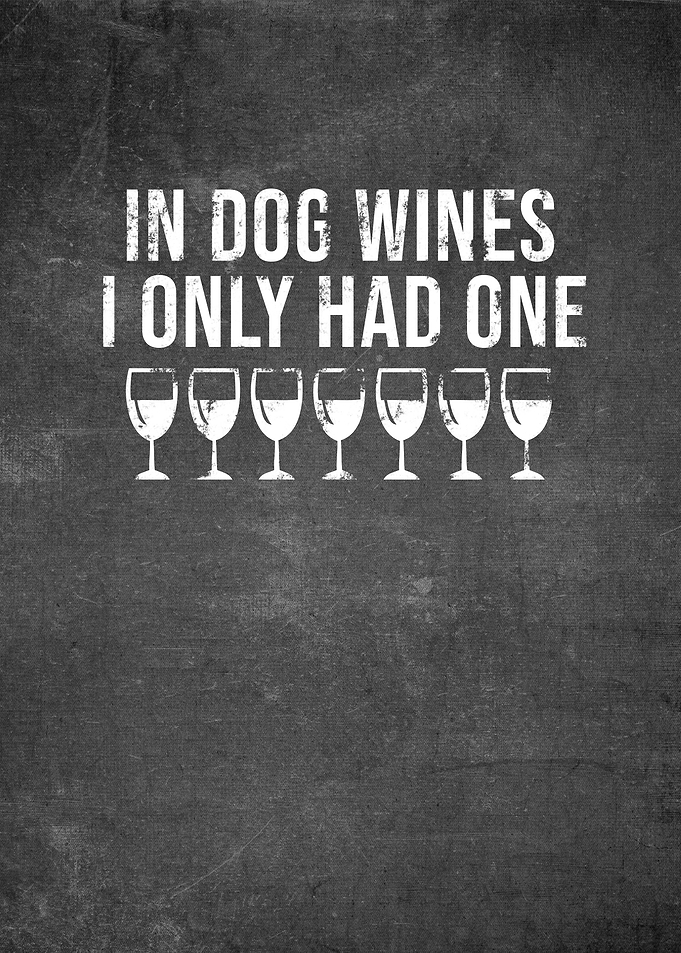 Wine Lover Funny Gift Idea