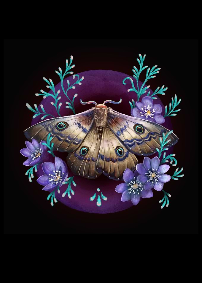 Night Butterfly