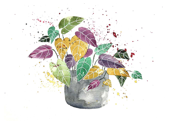 Botanical