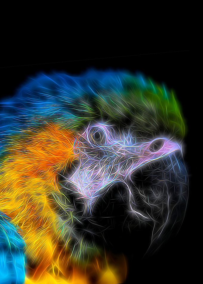 Parrot fractal