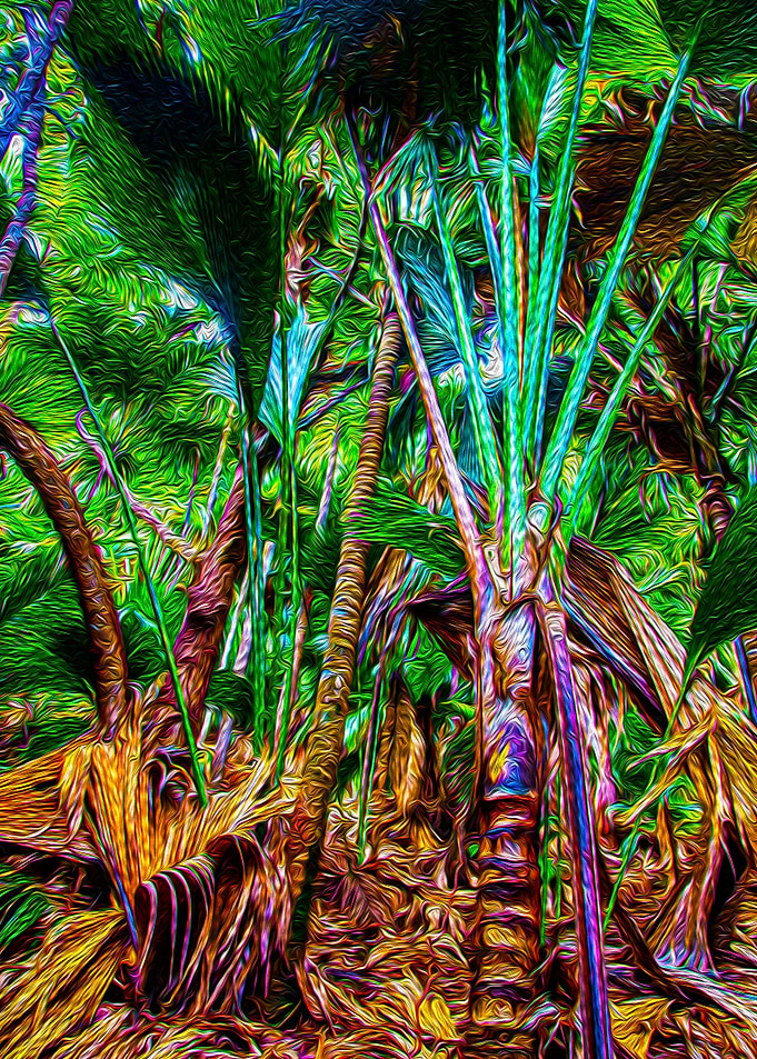 Jungle time