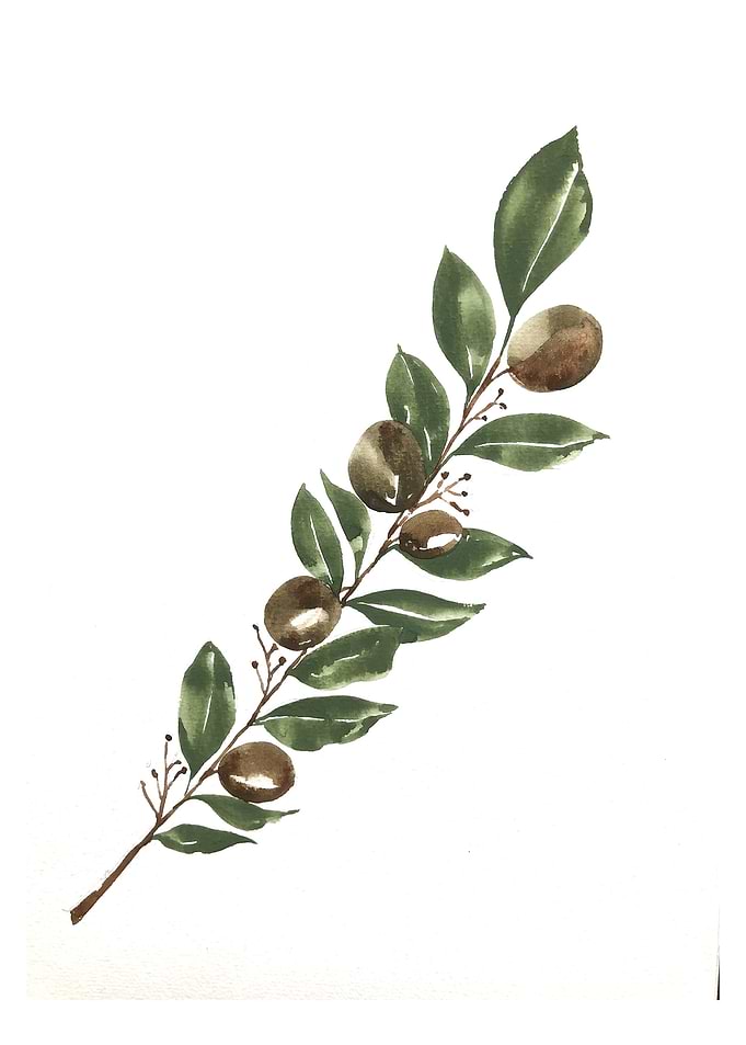 Fruit
