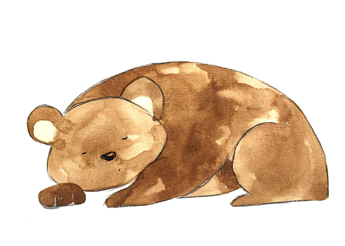 Animal