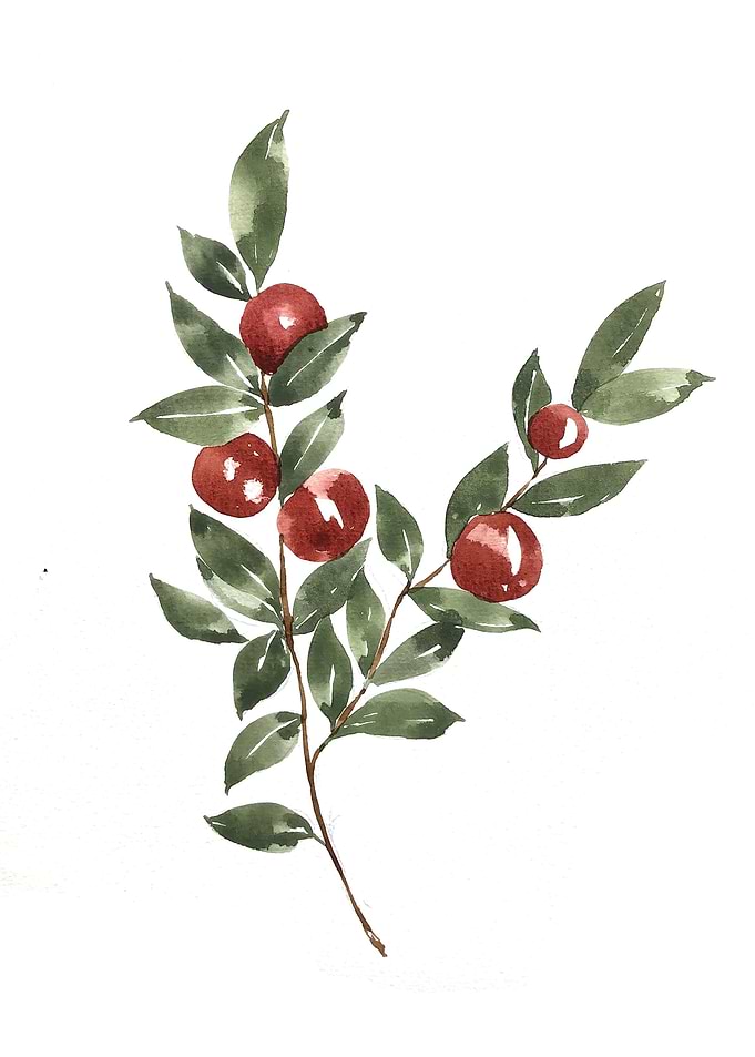 Fruit