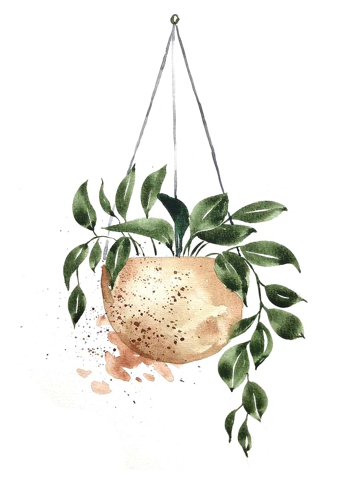 Botanical