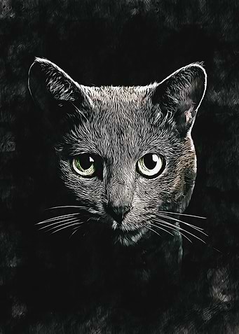 animal fantasy