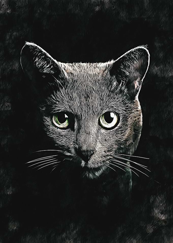animal fantasy