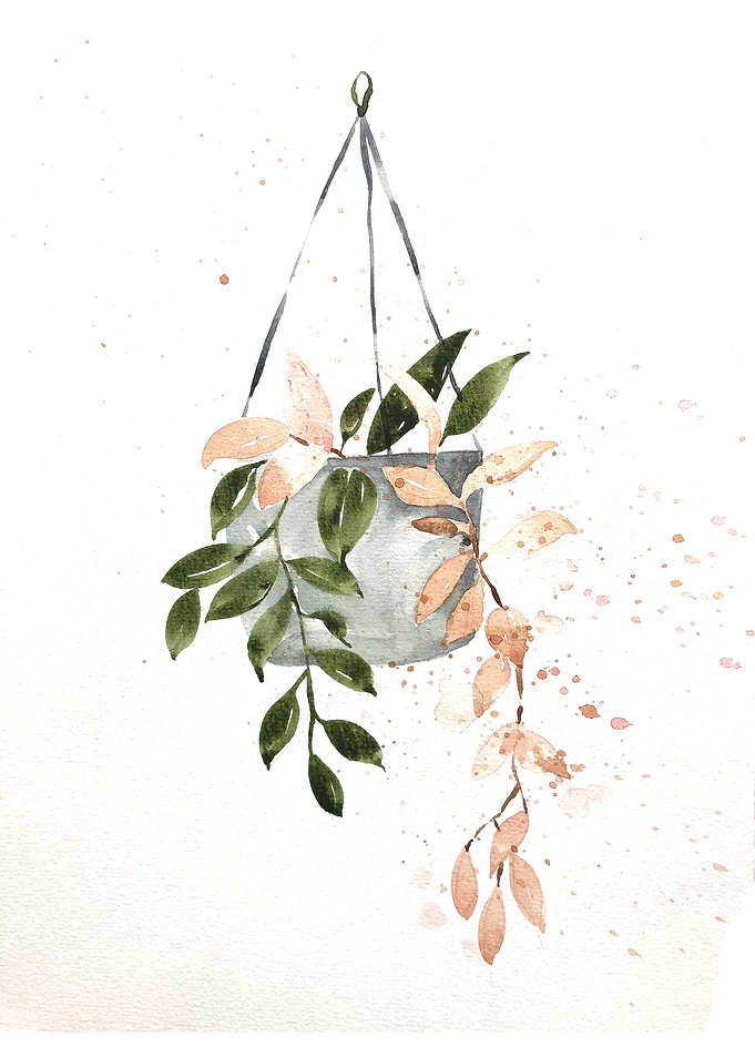 Botanical