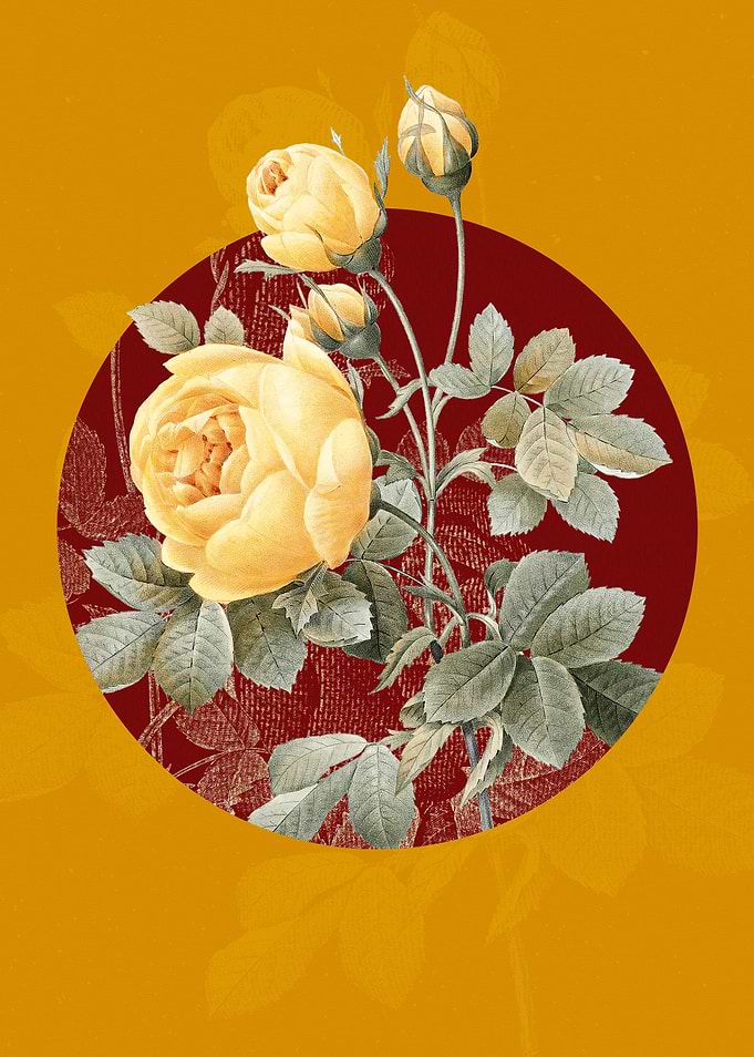 Antique Yellow Rose Flower