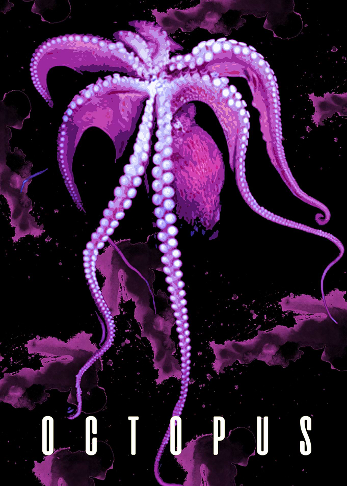 octopus 3