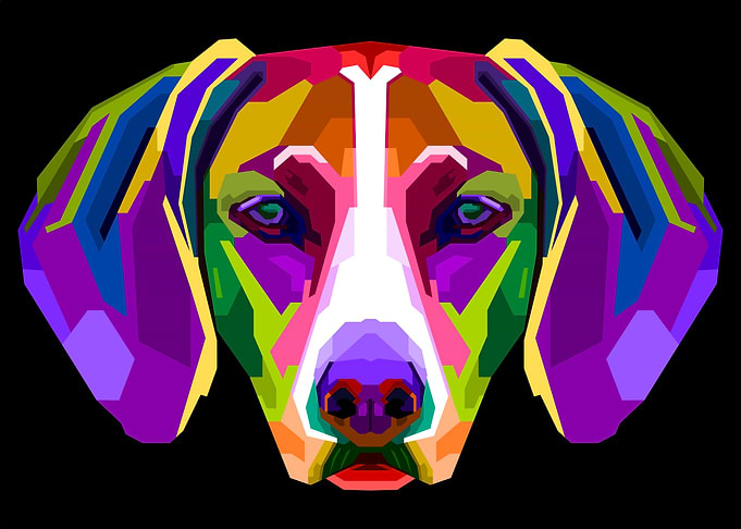 colorful vizsla dog