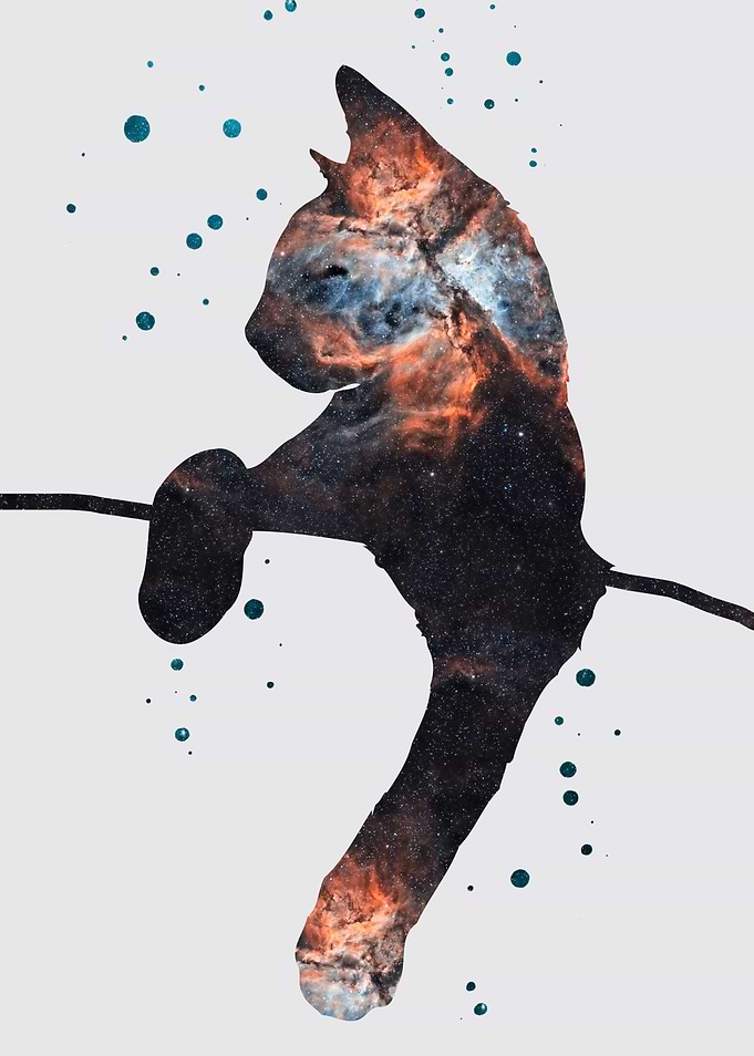 Kitten nebula