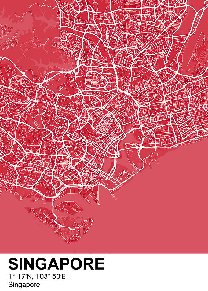 singapore color city map
