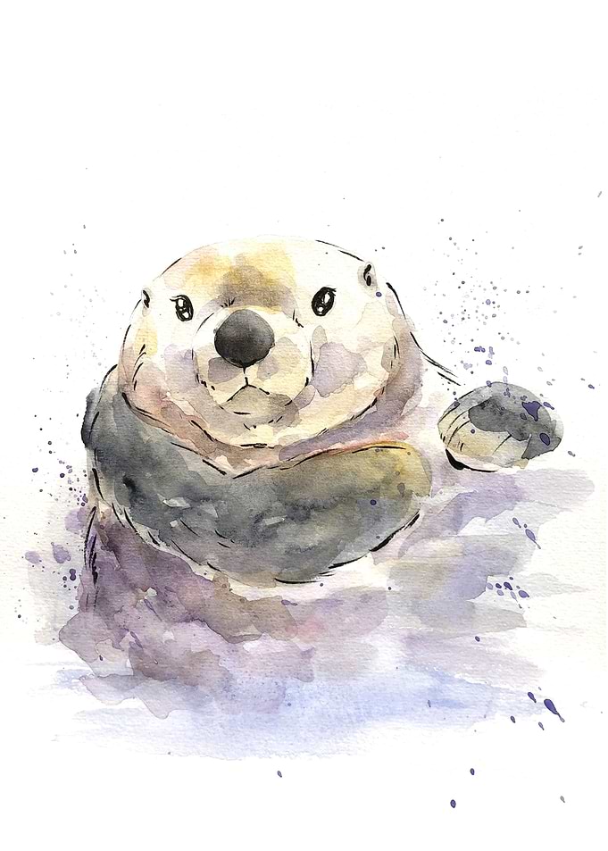 Animal