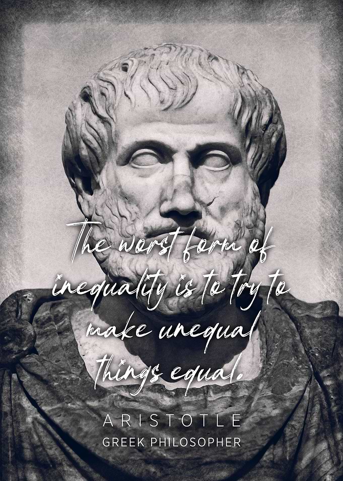 Aristotle Quote 4