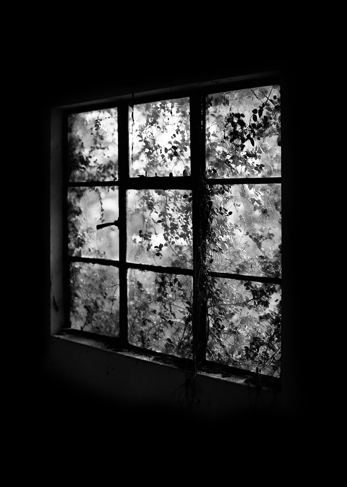 black and white windows