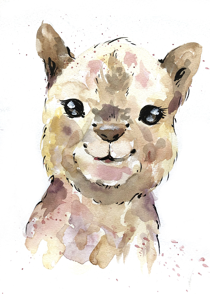 Animal