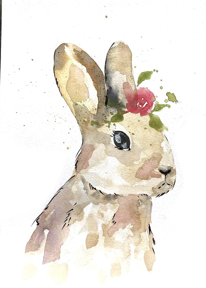 Animal