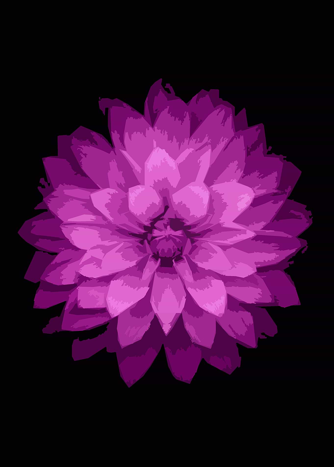 minimalist flowers