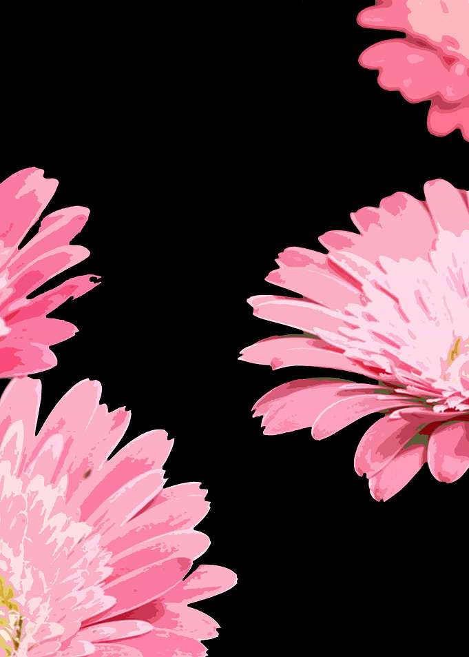 room flowers