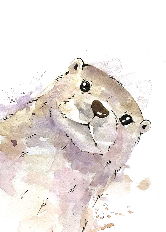 Animal