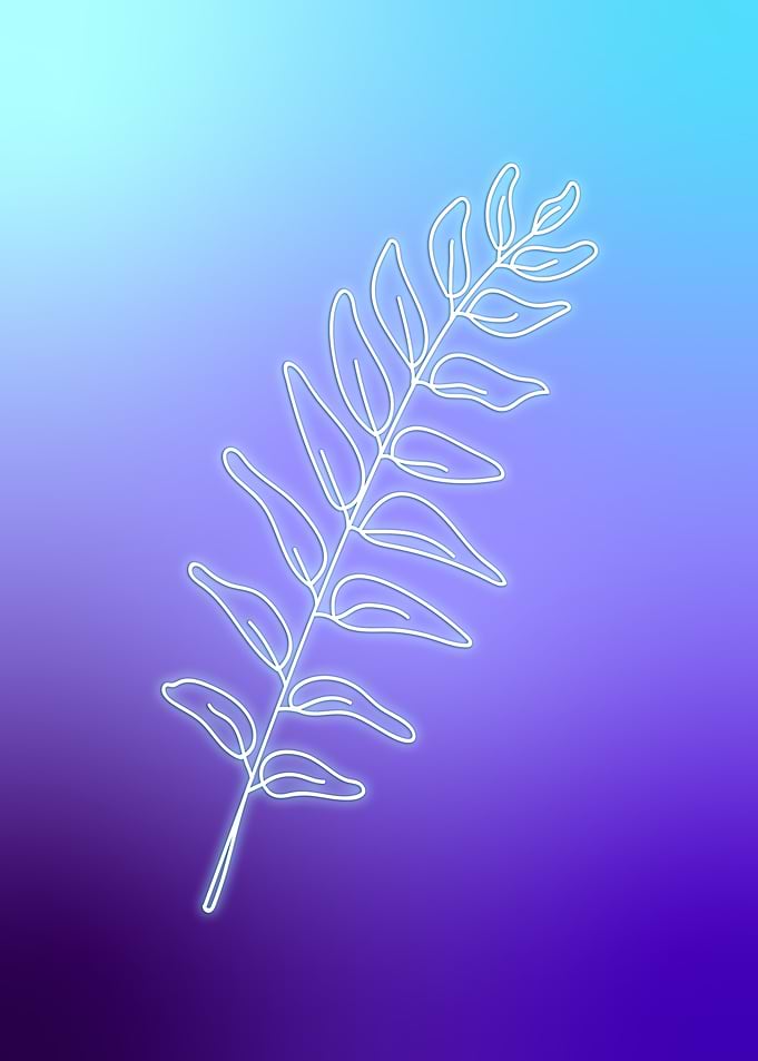 Bioluminescence