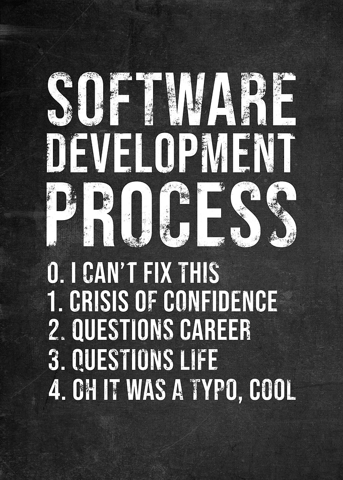 Programmer Developer Funny