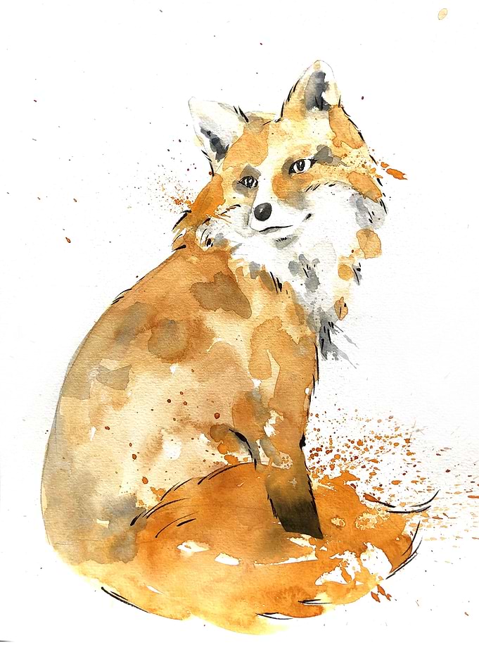 Animal