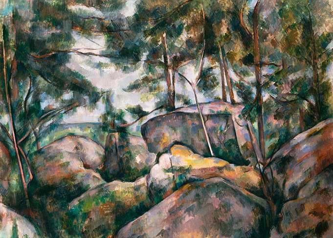 Rocks in the Forest