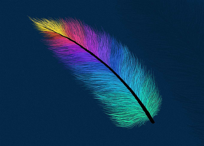 Hand Drawn Feather