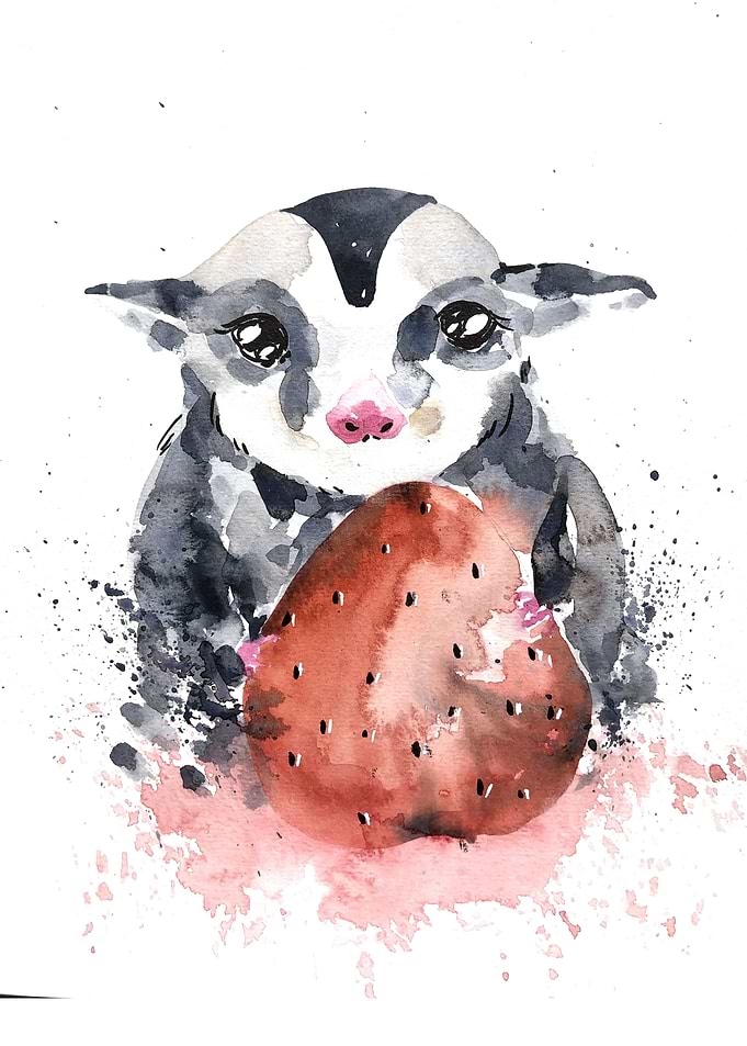 Animal