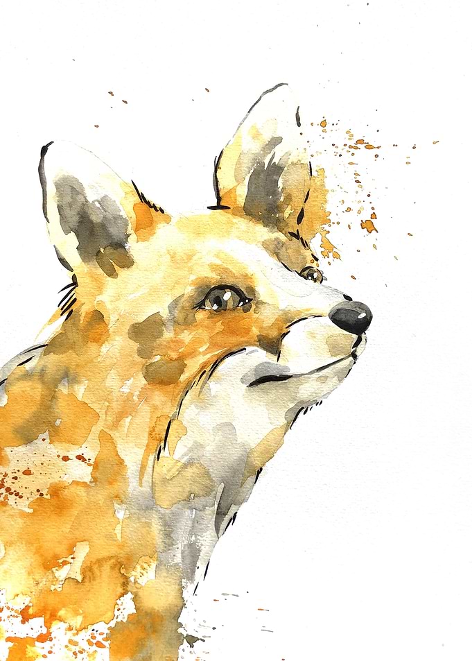 Animal