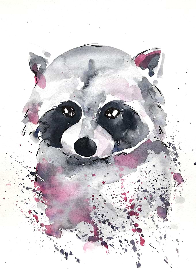Animal