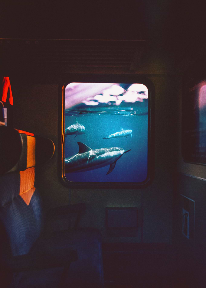 Outside The Window