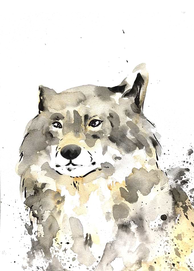 Animal