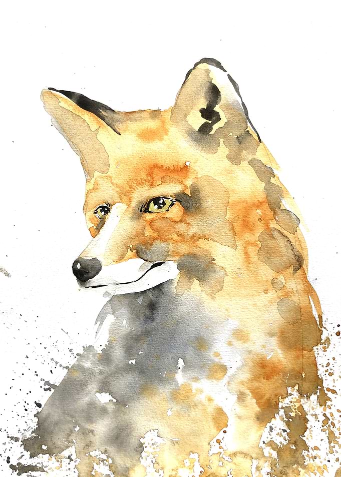 Animal