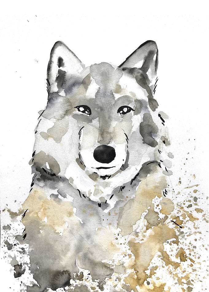 Animal