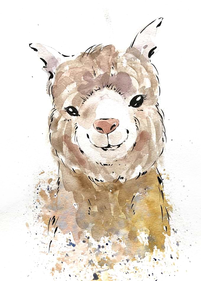 Animal