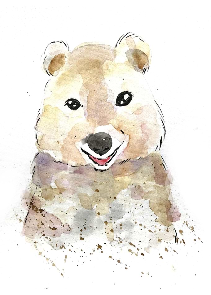 Animal