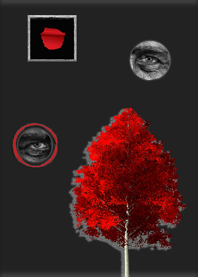 The Aspen Tree