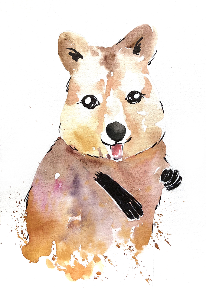 Animal