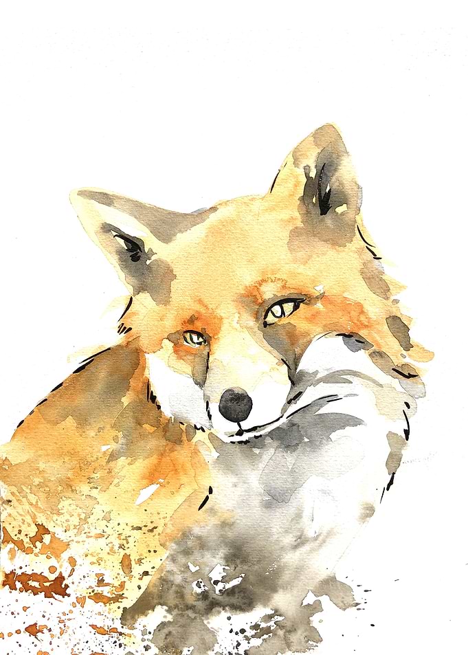 Animal